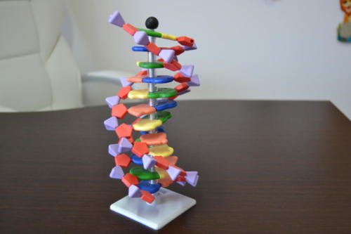 DNA example